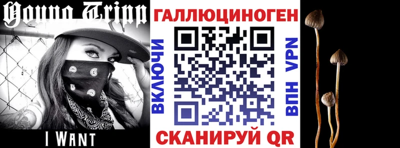 Псилоцибиновые грибы мухоморы  как найти закладки  Ильский 
